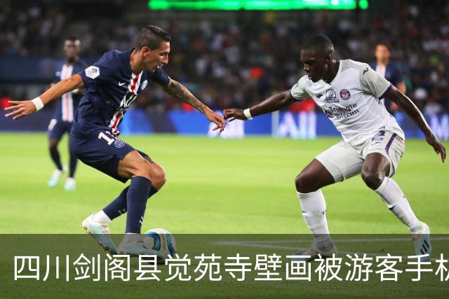 四川剑阁县觉苑寺壁画被游客手机强光照射，官方回应：情况属实，可能造成不可逆损伤，将加强现场巡查与劝阻，严格光源管控