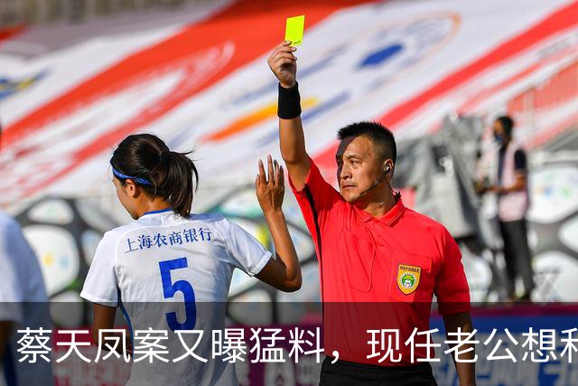 蔡天凤案又曝猛料，现任老公想和前夫发生关系，并承认500万输光