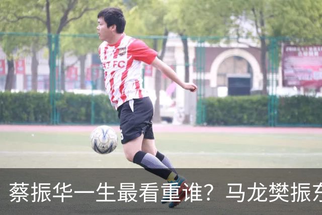 蔡振华一生最看重谁？马龙樊振东都落选，保国乒长青的底牌终揭晓